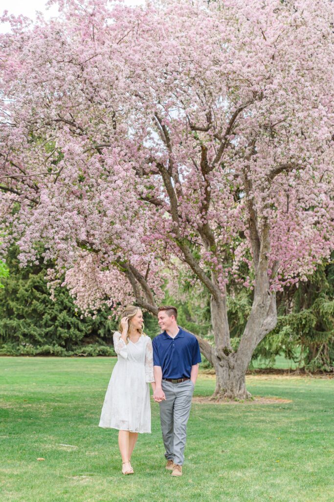 an engaged couple hold hands as they walk on the grass with a beautiful blossoming tree behind them at Quail Cove Park